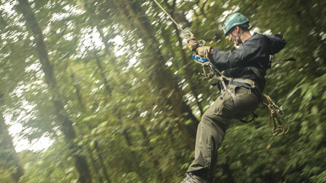 Costa Rica: Wildlife, National Parks & Hidden Gems of the Northwest