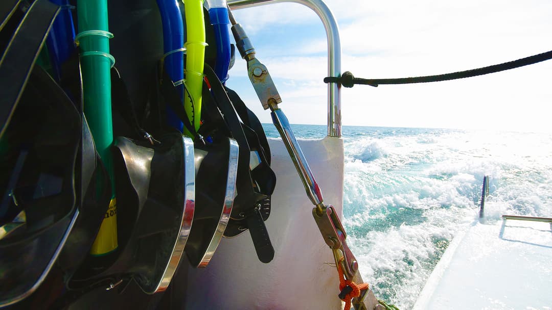 Costa Rica: Wildlife, National Parks & Hidden Gems of the Northwest