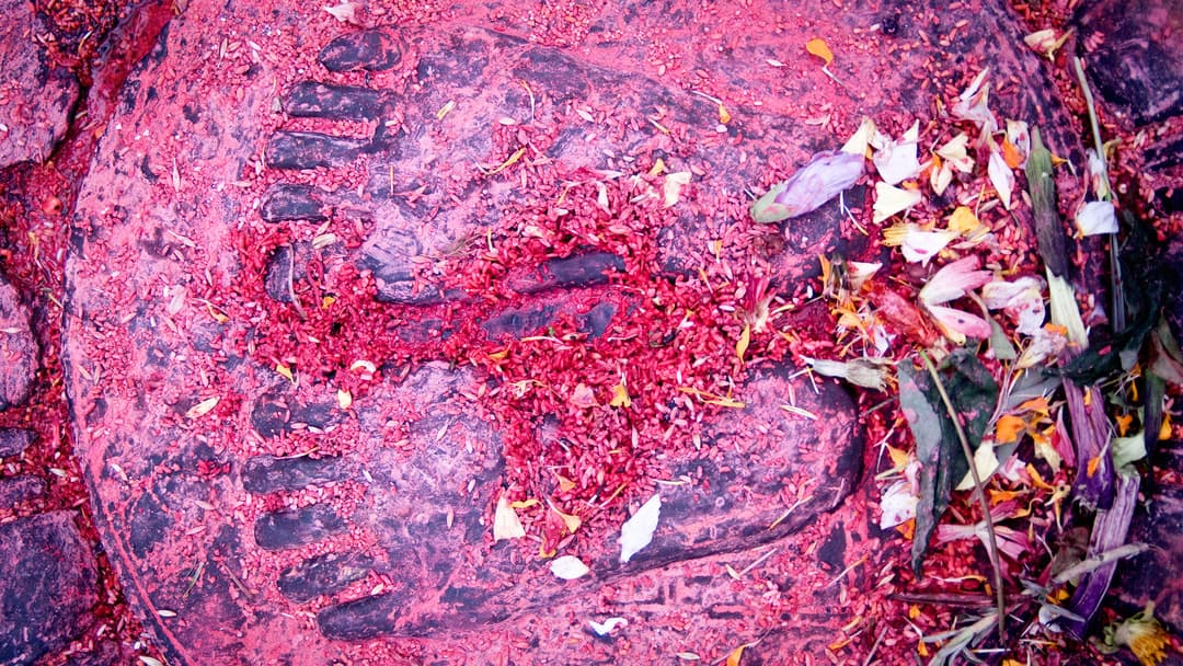 Journeys: Explore India & Nepal