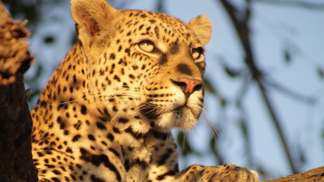 Journeys: Explore Southern Africa