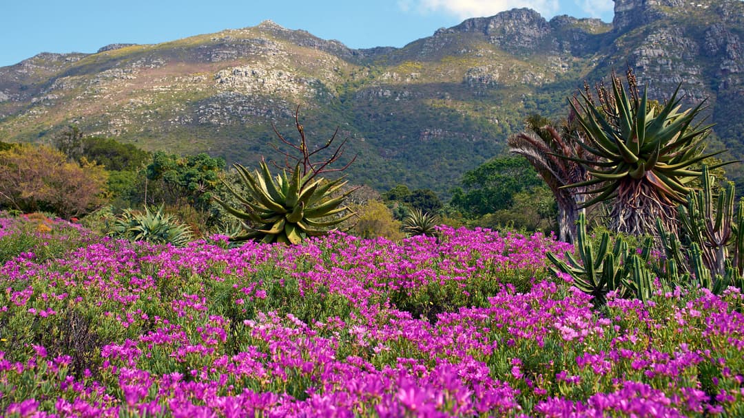 Journeys: Explore Southern Africa