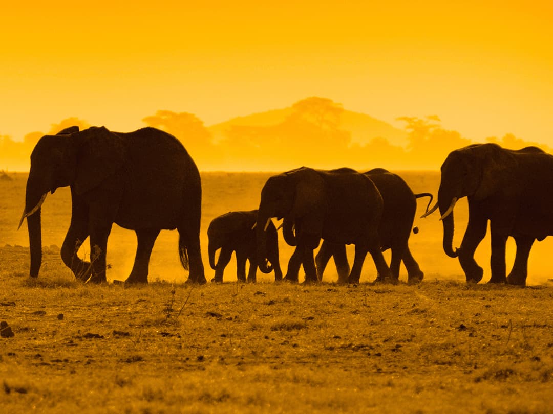 East Africa: Kenya, Tanzania & Zanzibar's Beaches