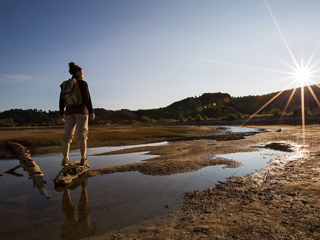 Australia And New Zealand: Bushwalks & Beaches