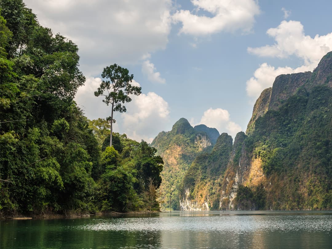 Southern Thailand Sojourn: Nightlife & National Parks