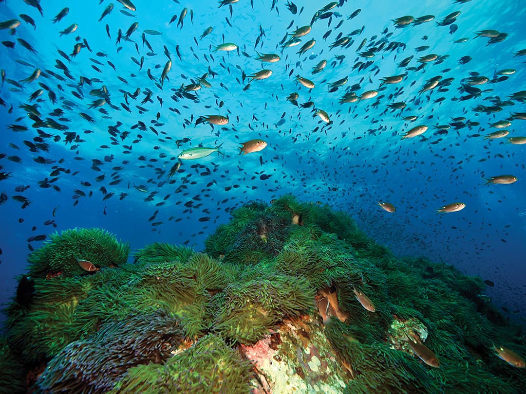 Southern Thailand Sojourn: Nightlife & National Parks