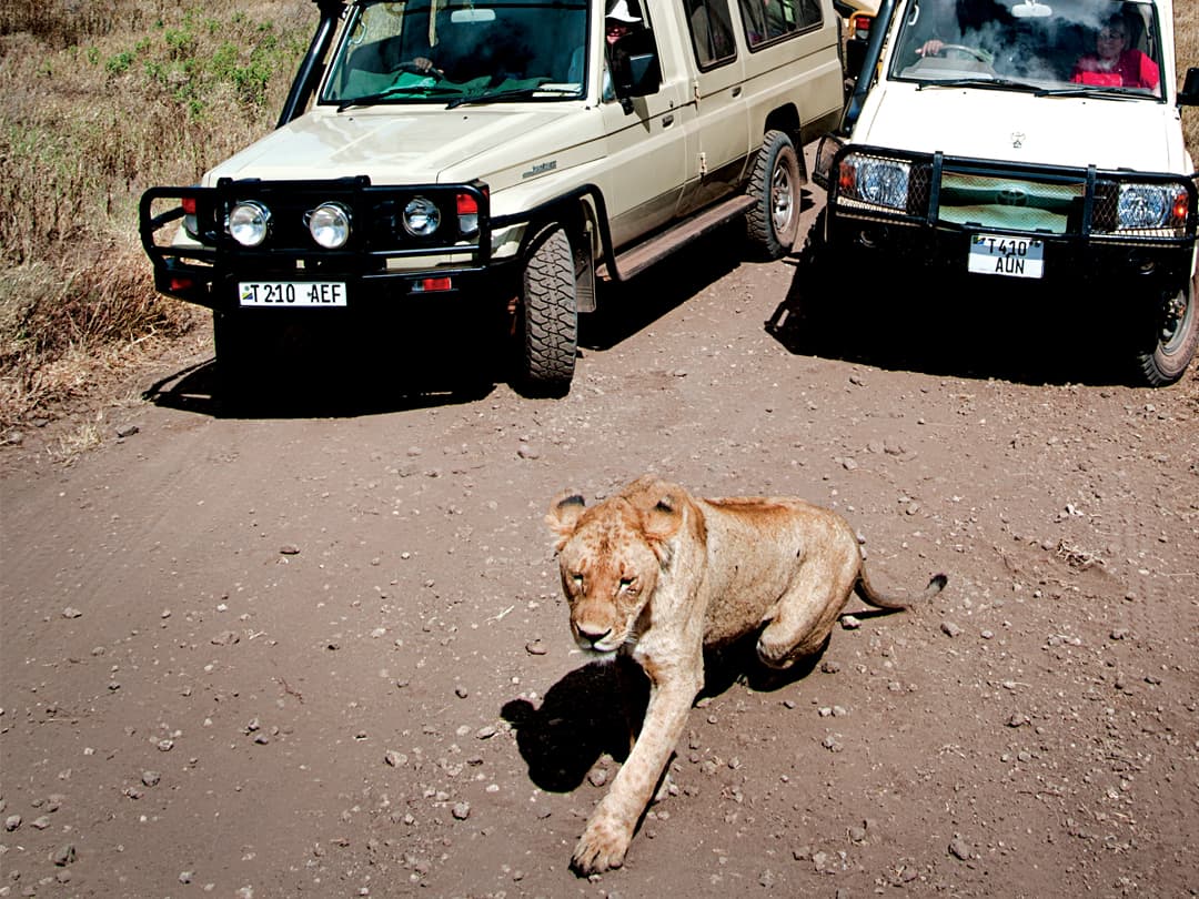 Tanzania Family Journey: A Serengeti Safari