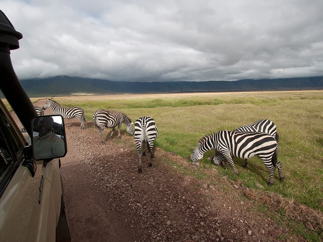 Tanzania Camping Safari