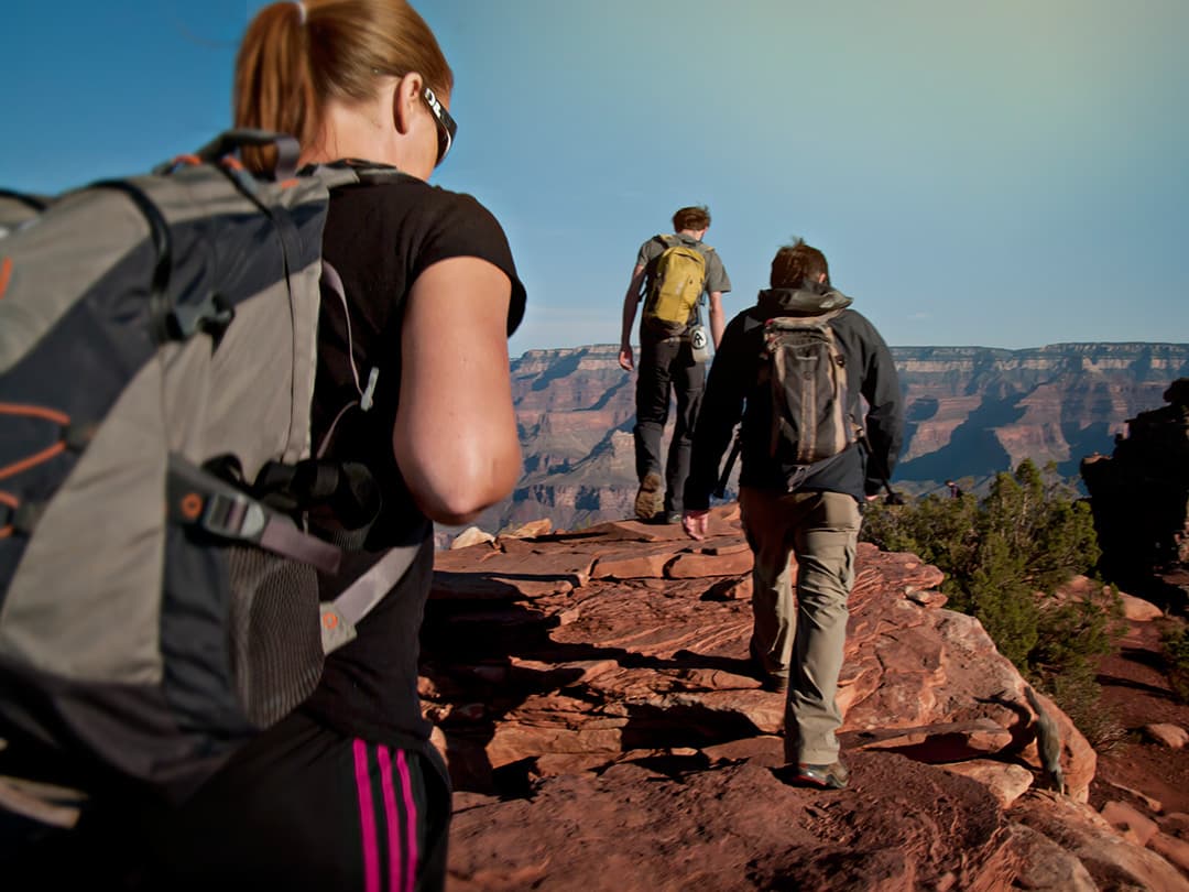 USA National Parks Explorer