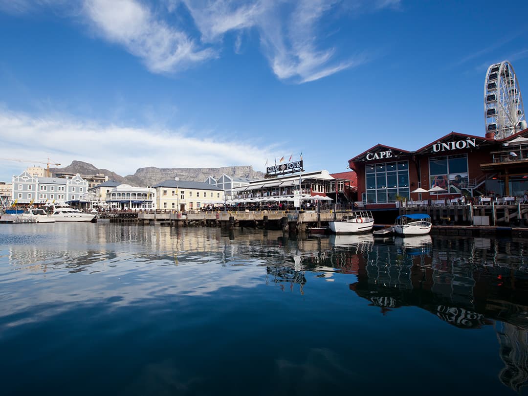 Cape and Namibia Adventure