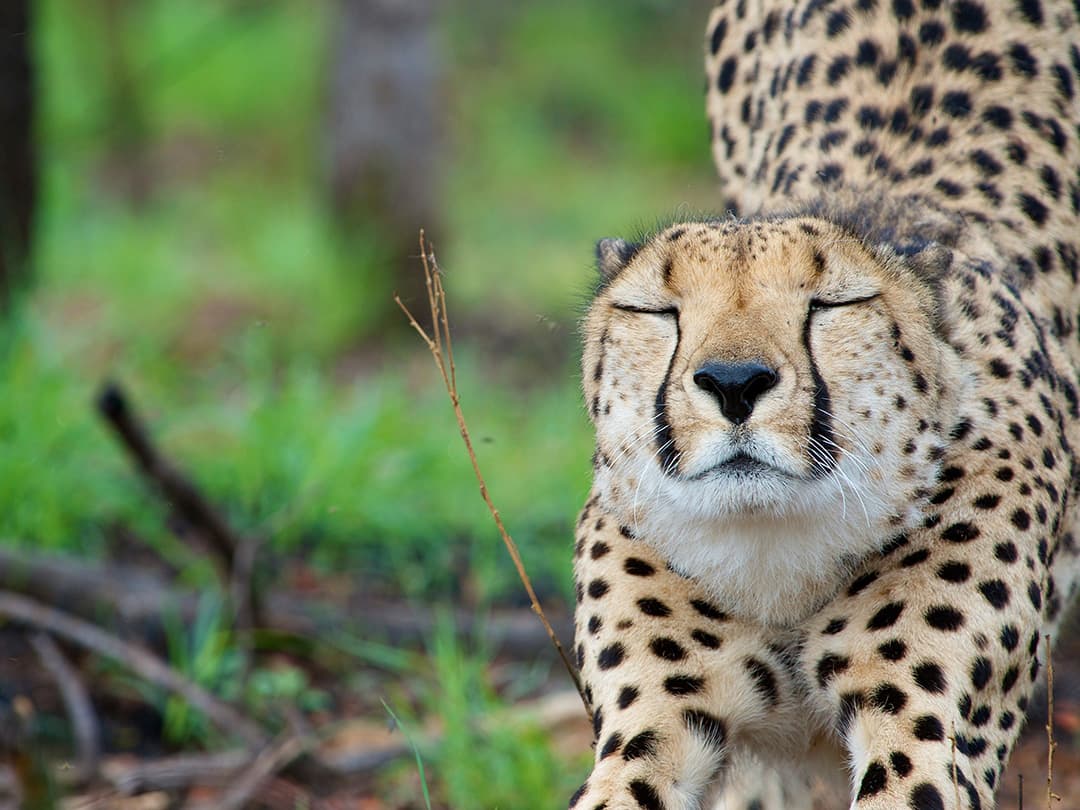 Journeys: Explore Southern Africa