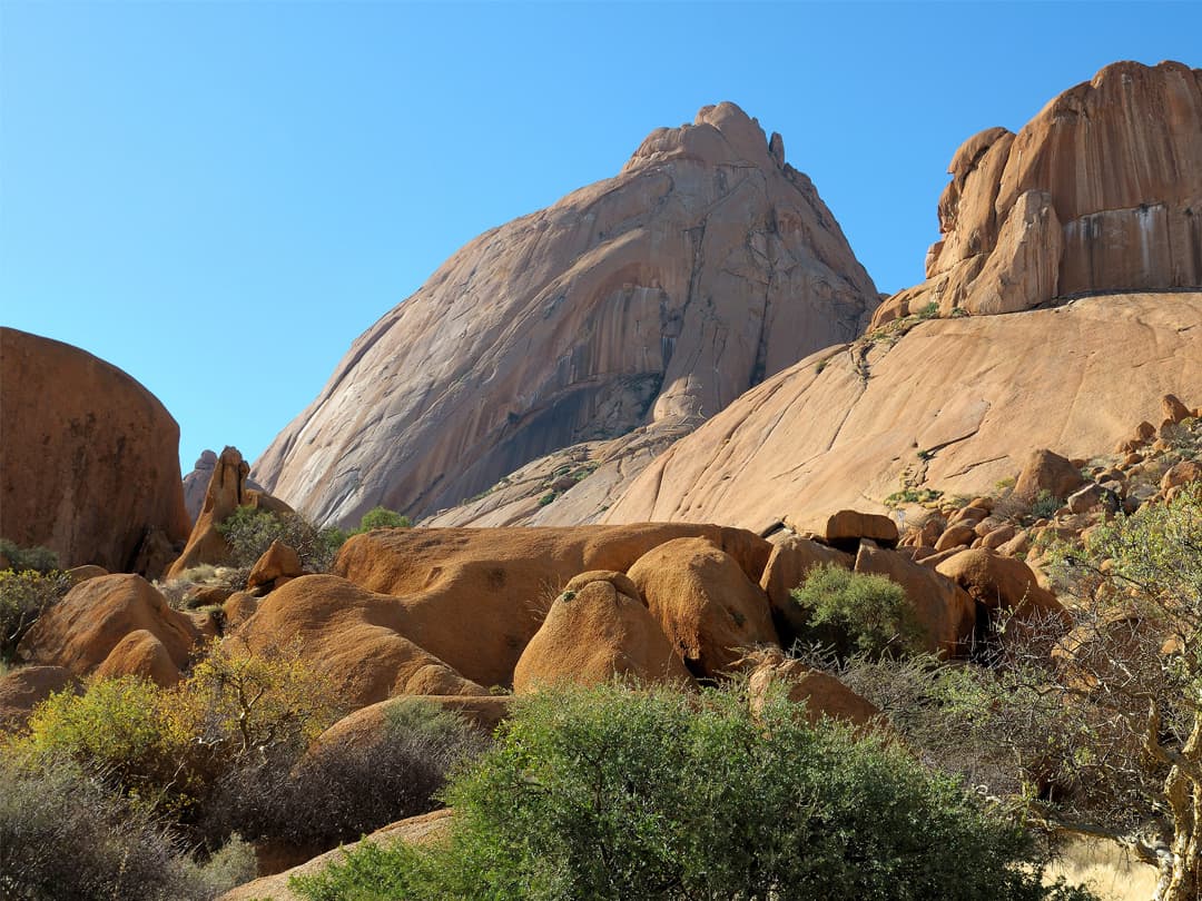 Cape & Dunes Northbound: Wildlife & Starry Night Skies