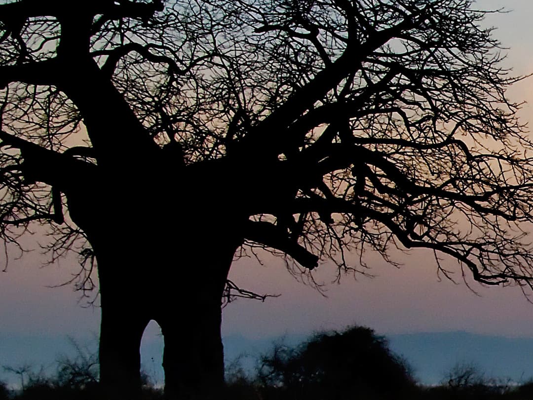 Nairobi to Joburg Overland: Craters & Camping