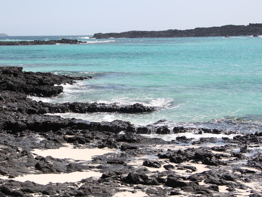 Complete Galápagos - Yolita