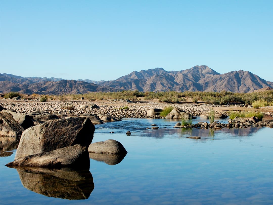 Cape and Namibia Adventure