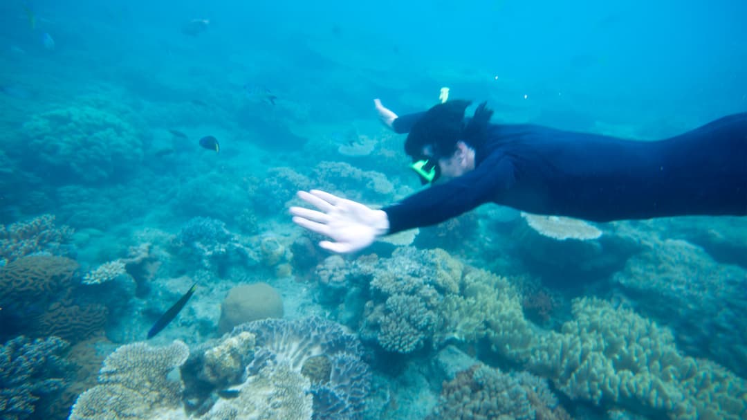 Sydney Roundtrip: Australia's Greatest Hits