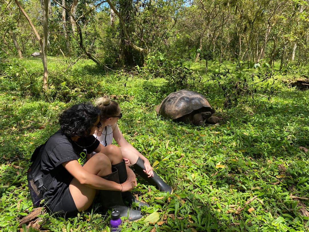 Active Galápagos & Machu Picchu