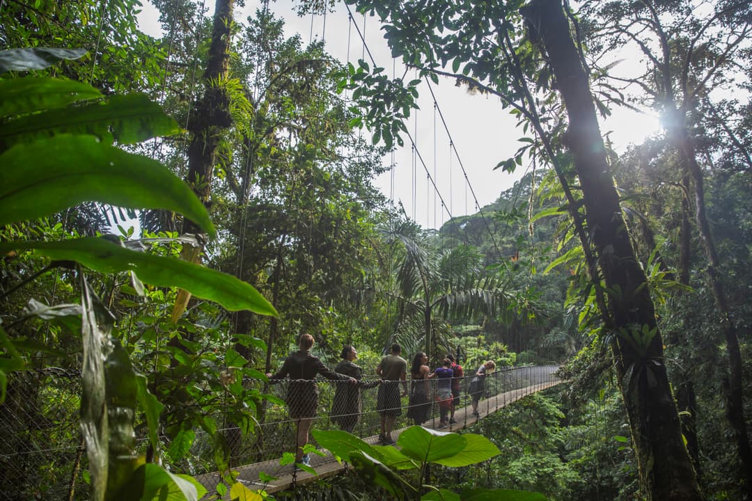 Costa Rica: Wildlife, National Parks & Hidden Gems of the Northwest