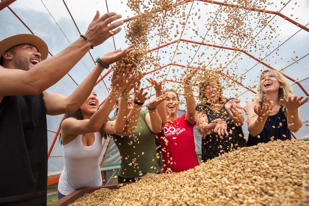 Costa Rica: Wildlife, National Parks & Hidden Gems of the Northwest