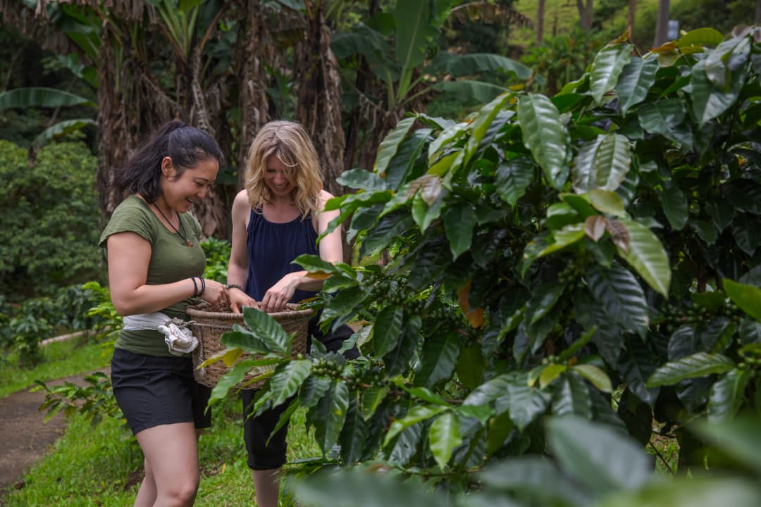 Costa Rica: Wildlife, National Parks & Hidden Gems of the Northwest