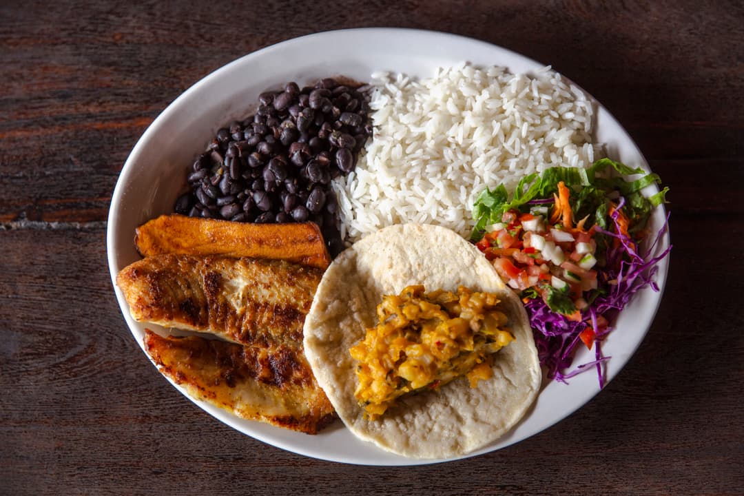 Costa Rica: Wildlife, National Parks & Hidden Gems of the Northwest