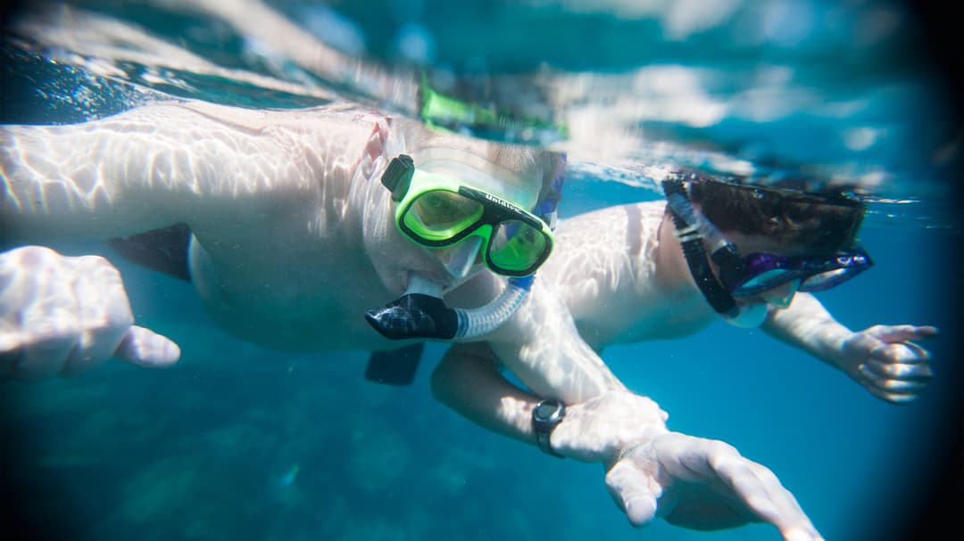 Complete Galápagos - Eden