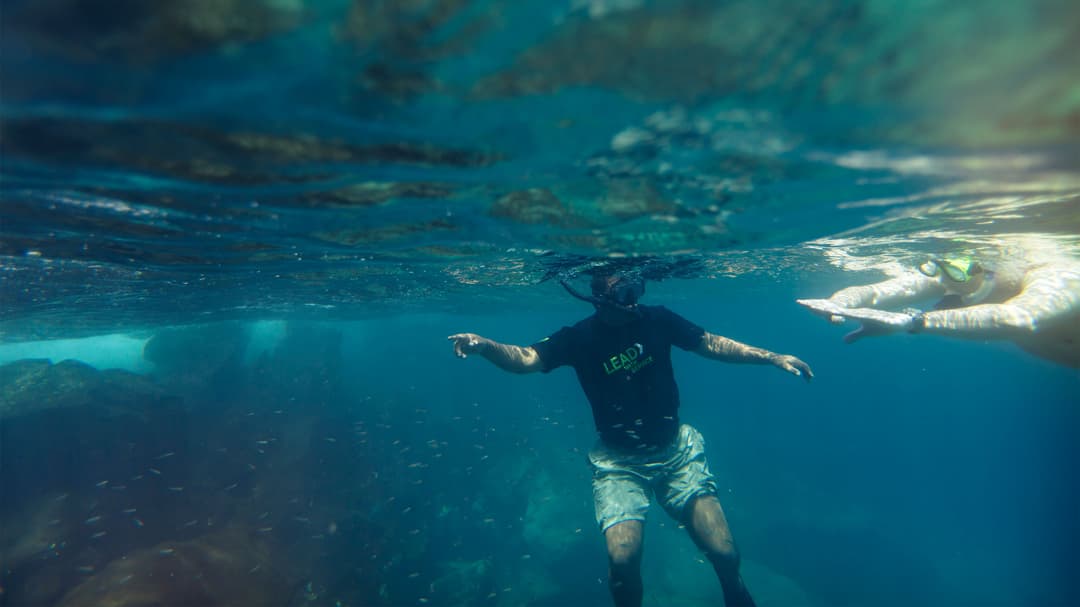 Galápagos Express Adventure: Wilderness & Wildlife