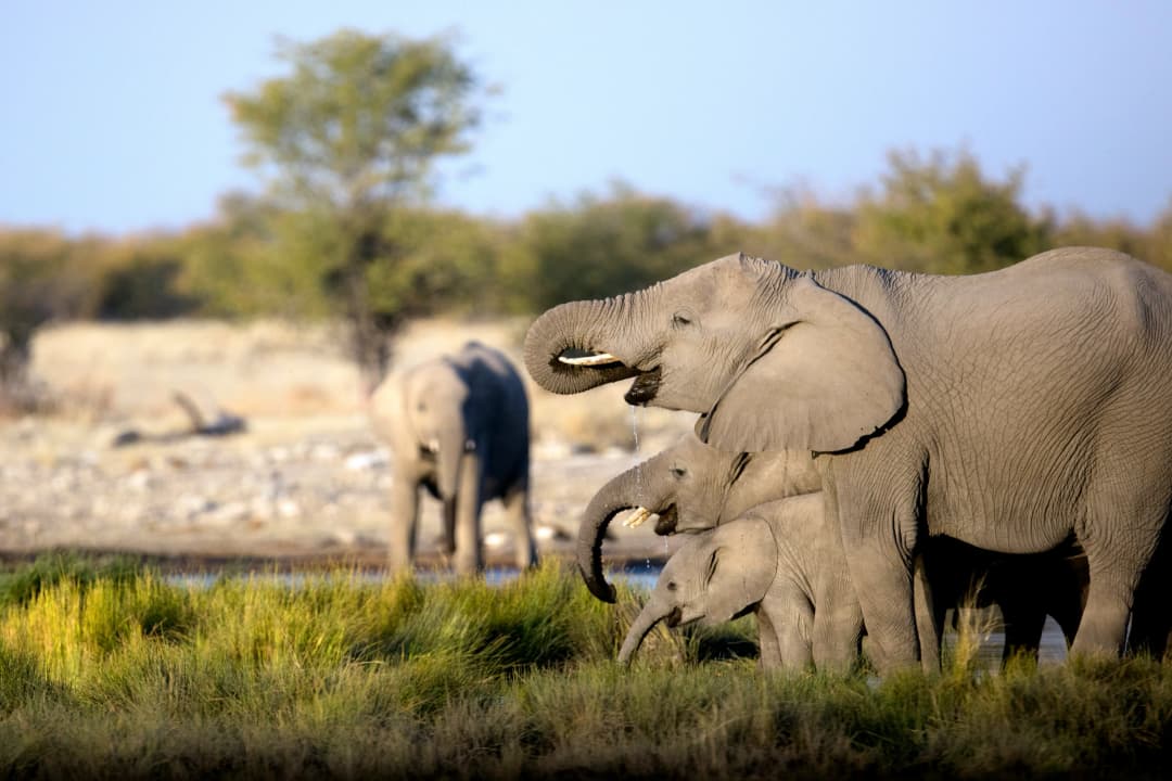 Signature: Tanzania’s Serengeti, Tarangire & Ngorongoro Crater