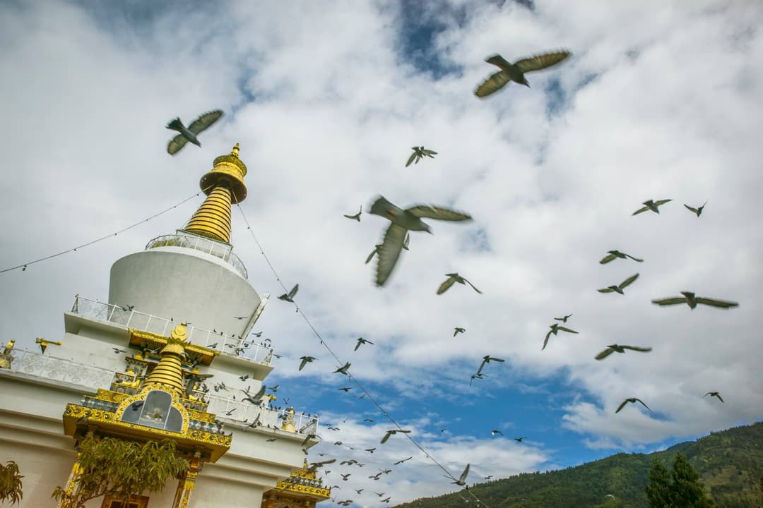 Camp the Trans Bhutan Trail