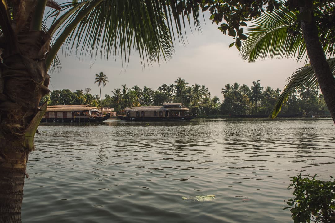 Kerala: Beaches & Backwaters