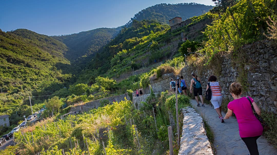 Tuscany to the Amalfi Coast: Italy by Land & Sea