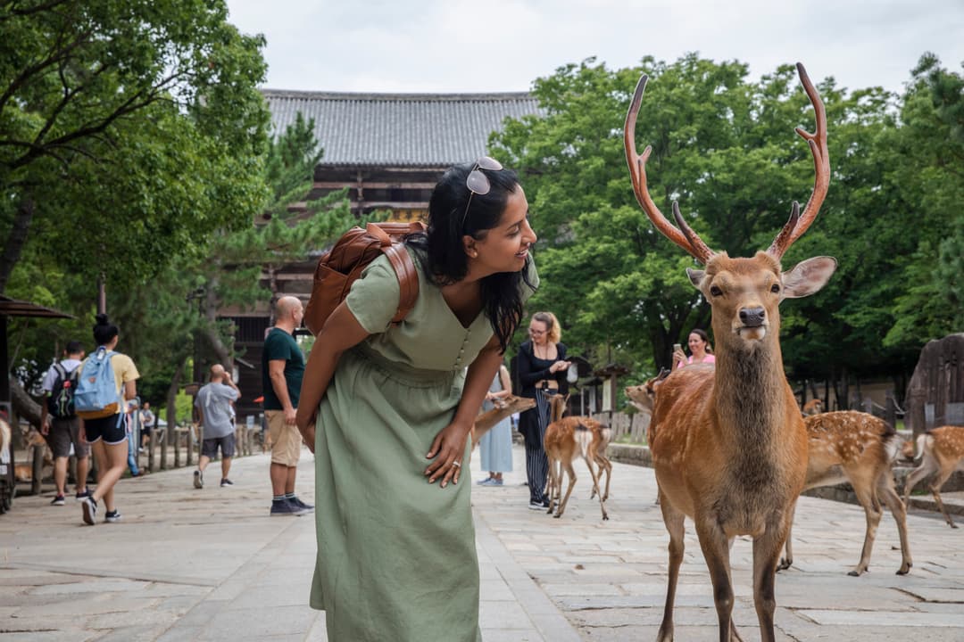 Epic Japan: Speed Trains & Street Food