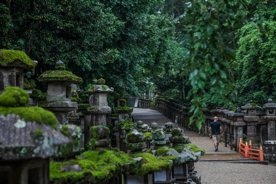 Epic Japan: Speed Trains & Street Food