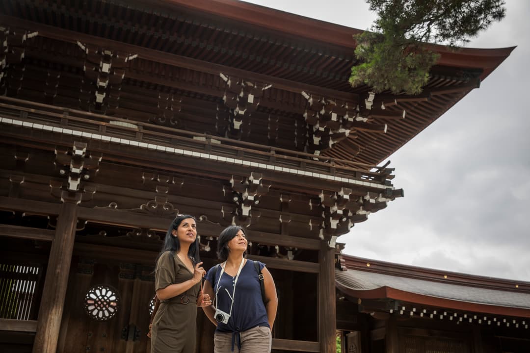 Absolute Active Japan