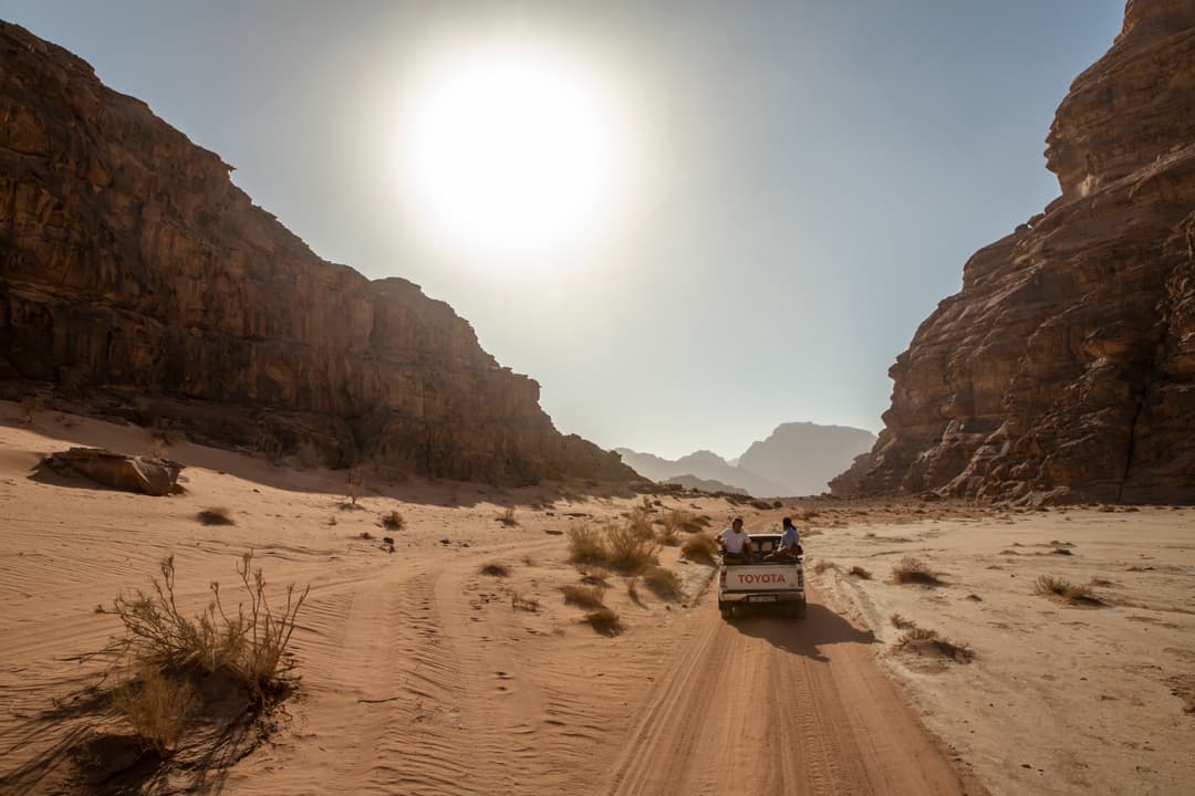 Ultimate Active Jordan