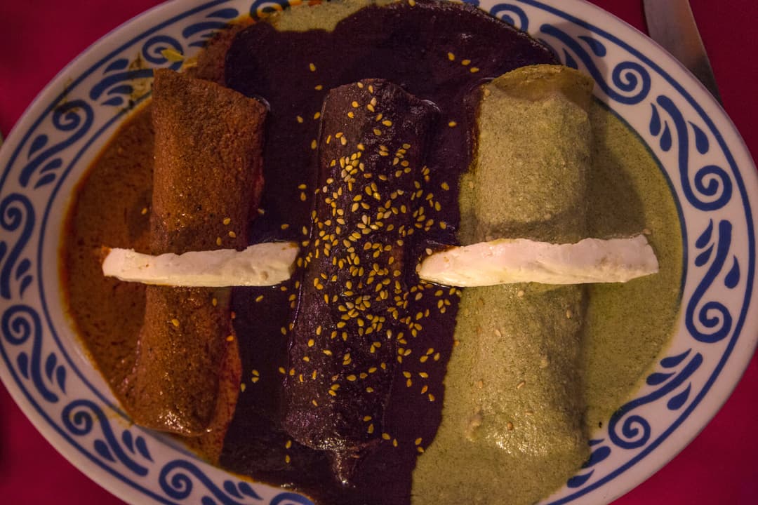 Central Mexico: Oaxaca to Mexico City