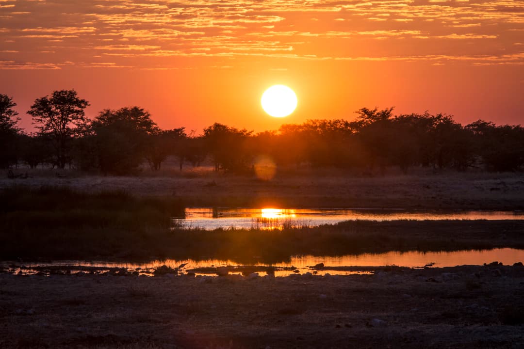 Cape and Namibia Adventure