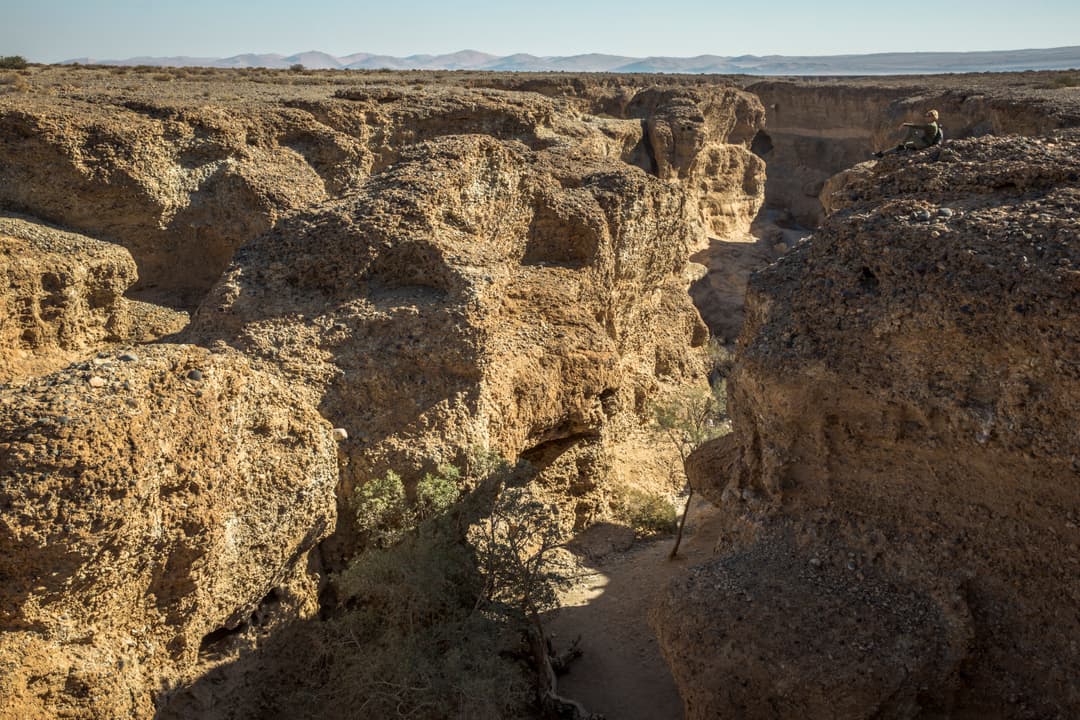 Cape and Namibia Adventure