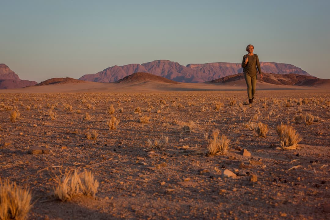 Cape and Namibia Adventure