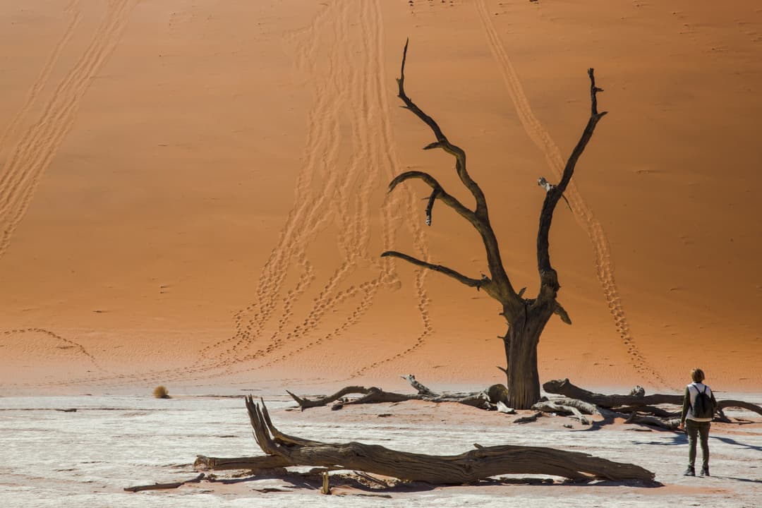 Journeys: Discover Kruger & Namibia