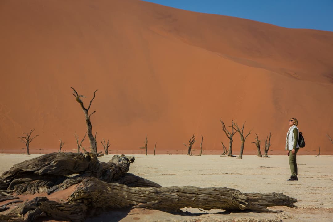 Southern Africa Southbound: Dunes, Deltas & Falls