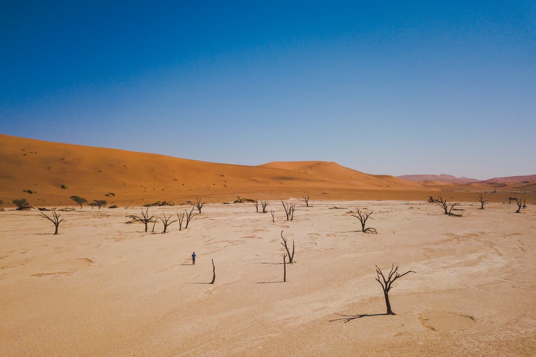 Journeys: Discover Kruger & Namibia