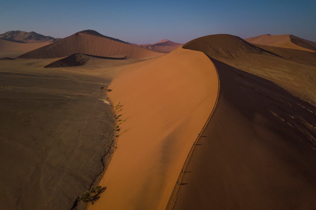 Cape & Dunes Northbound: Wildlife & Starry Night Skies