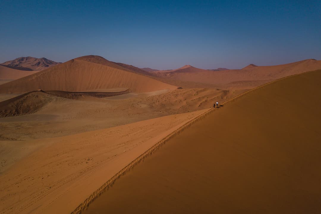 Cape & Dunes Northbound: Wildlife & Starry Night Skies