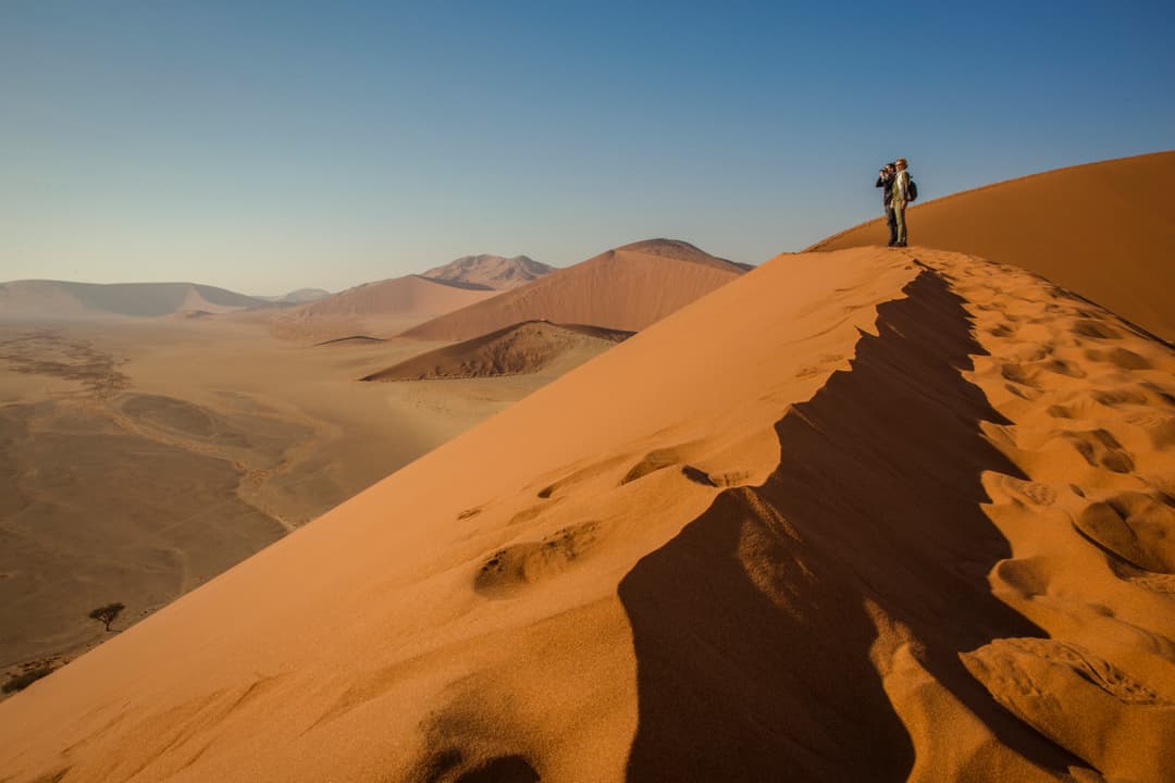 Cape & Dunes Northbound: Wildlife & Starry Night Skies