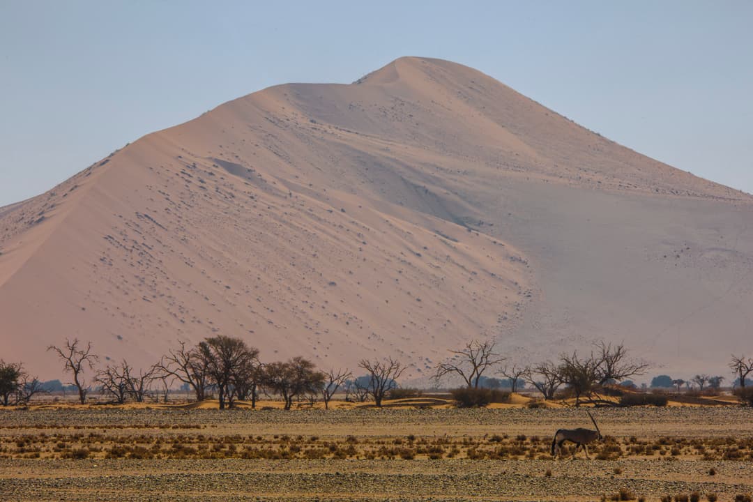 Cape and Namibia Adventure