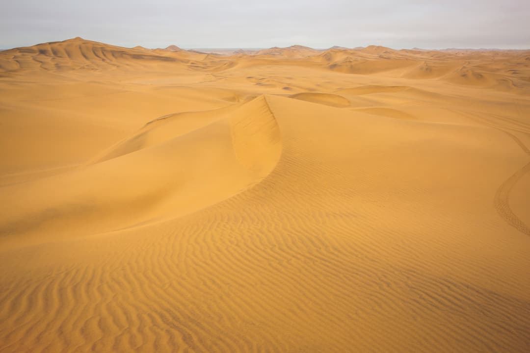 Cape and Namibia Adventure