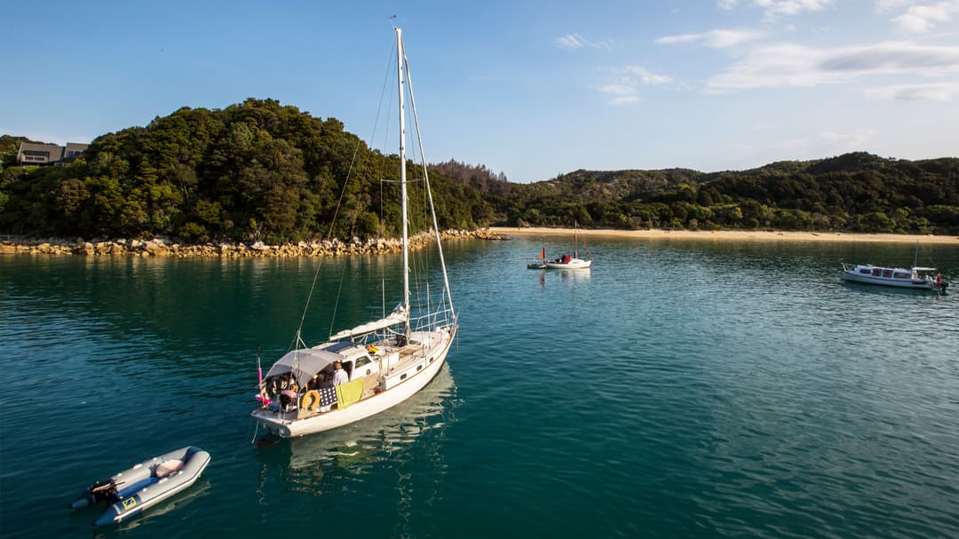 Australia And New Zealand: Bushwalks & Beaches