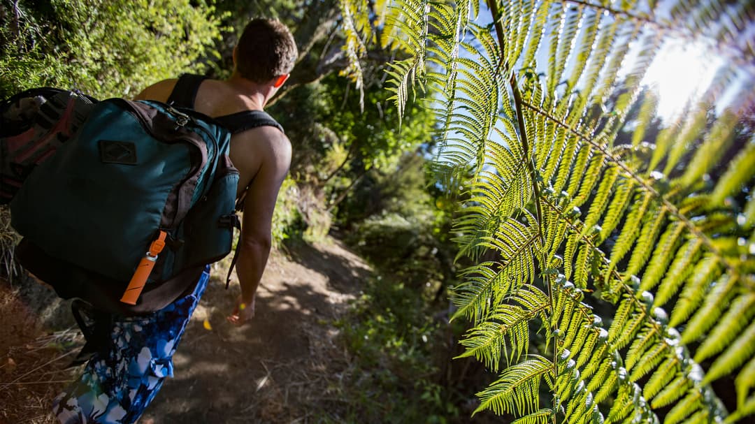 Australia And New Zealand: Bushwalks & Beaches