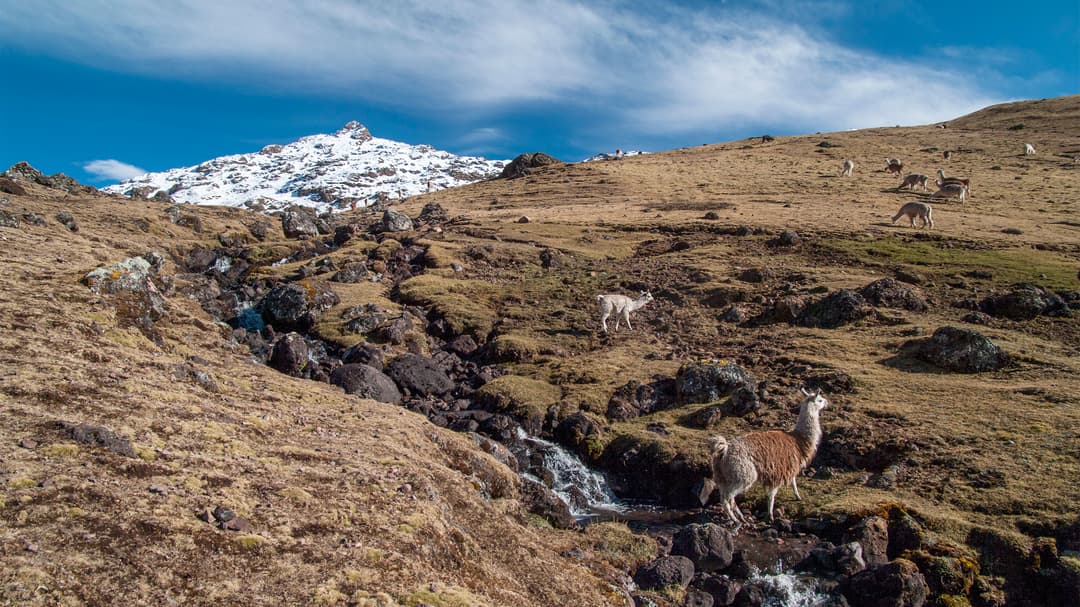 Trekking the Inca Trail: 5D/4N