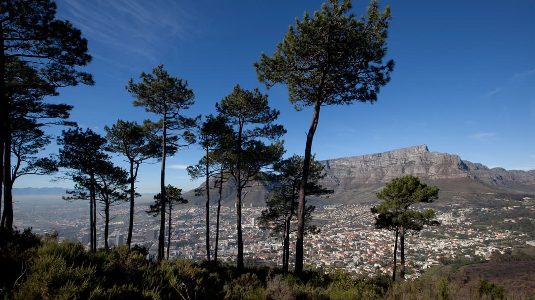 Cape & Dunes Northbound: Wildlife & Starry Night Skies
